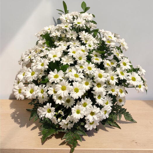Composicion Funebre Clasica 🤍🌼🕊️