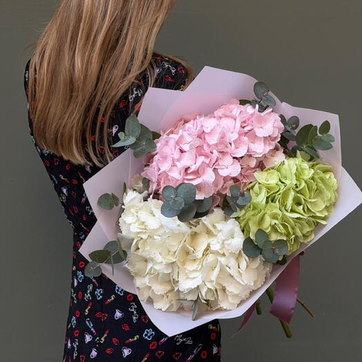 Mezcla rosa de hortensias