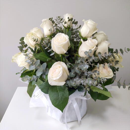 Box 25 rosas blancas