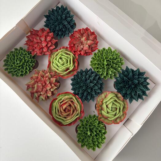 Mini Succulents Box