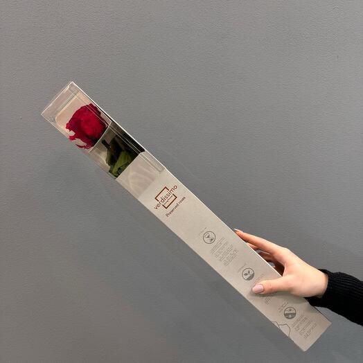 Rosa preservada ( grande ) roja