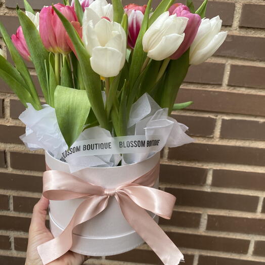 19 🌷 Tulipanes bicolor