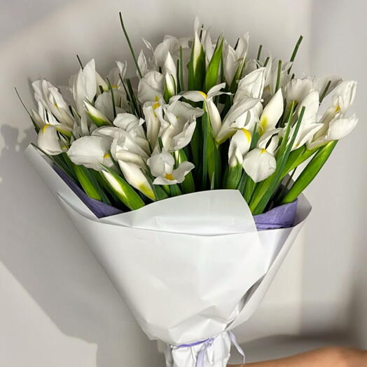 Ramo 30 Iris Blancos – Bouquet Elegante en Blanco Puro
