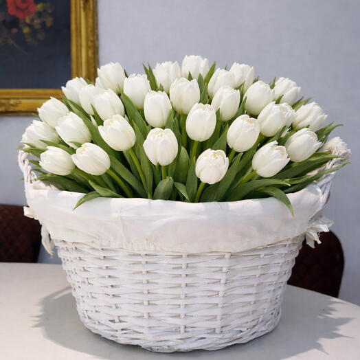 Tulipanes blancos