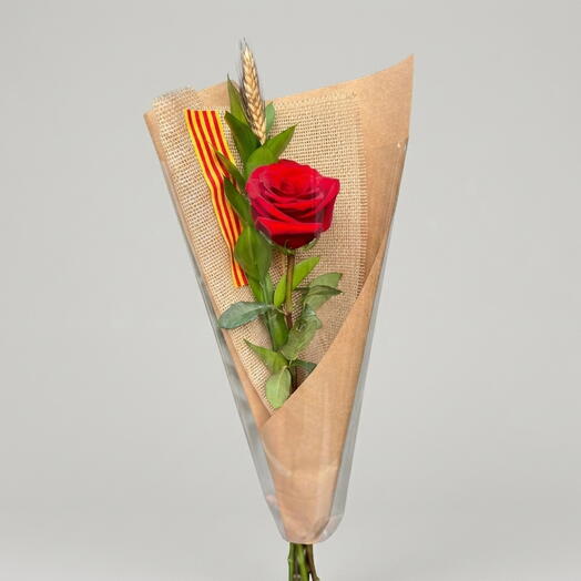 Rosa roja de autor Sant Jordi