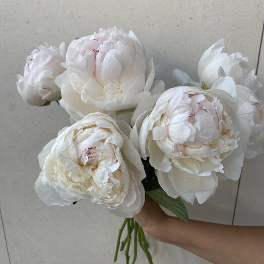 7 White Peonies – Elegance and Love for Mother's Day