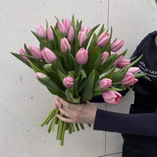 31 sweet pink tulips