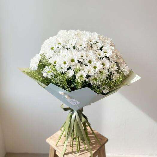 White daisies