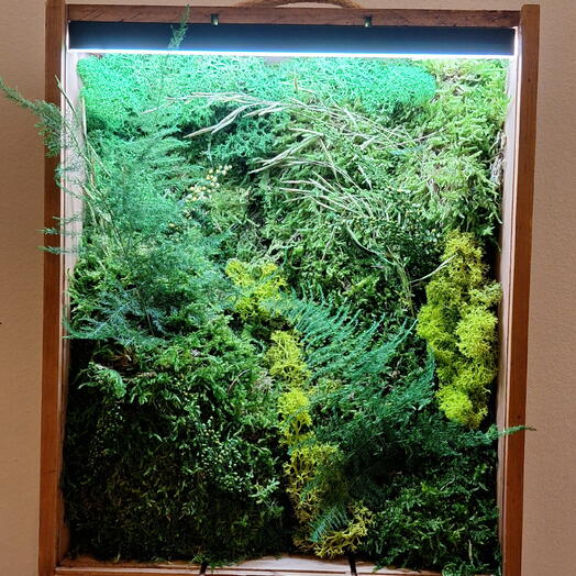 Cuadro vegetal iluminado