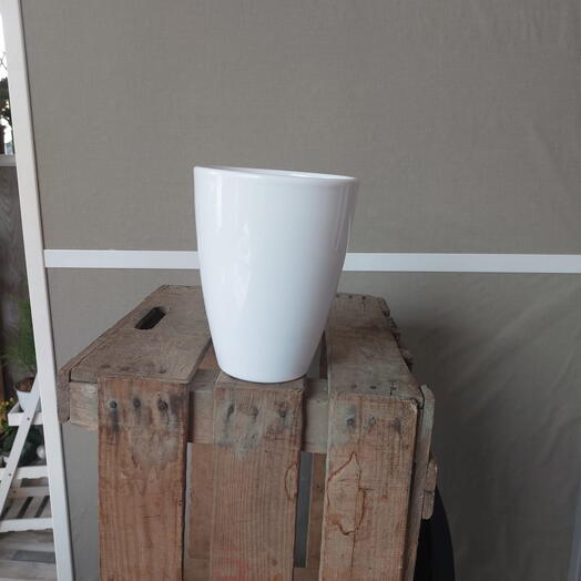 Maceta para orquideas blanca