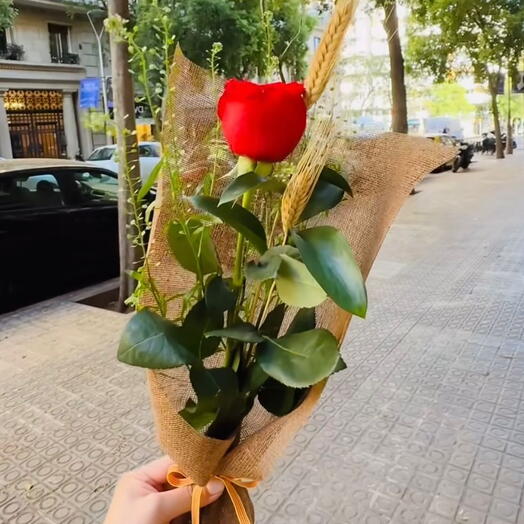 Rose de Saint-Georges