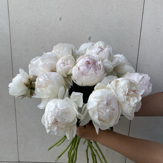 15 White Peonies – Elegance and Love for Mother's Day