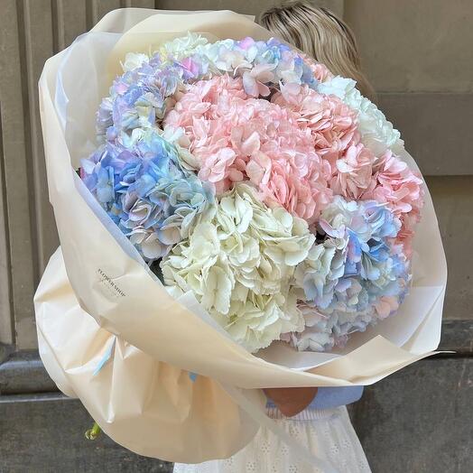 Ramo de hortensias de hada