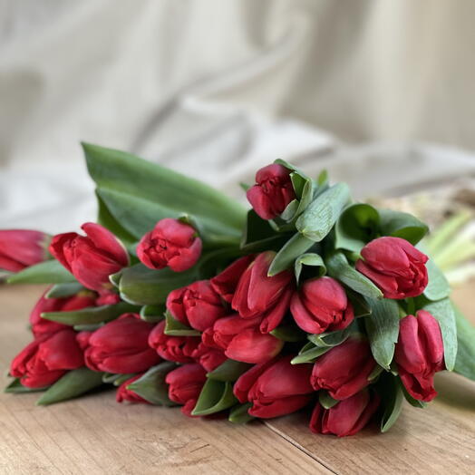 Ramo De Tulipanes Rojos