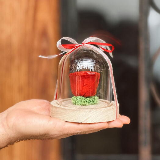 Cupula con Rosa Preservada