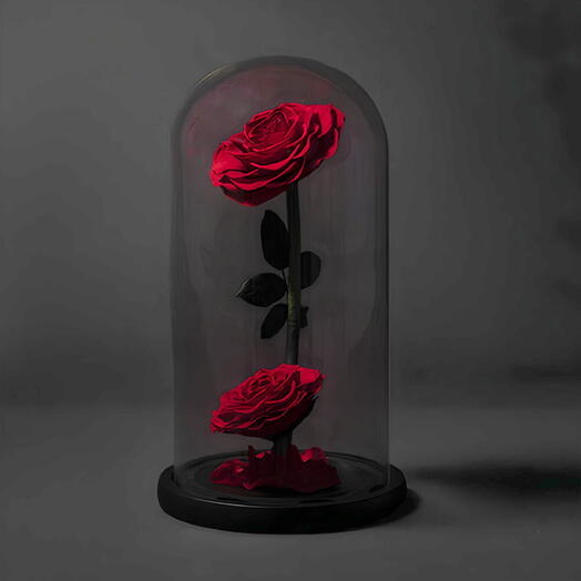 Cupula rosa bella y bestia - 2 tallos