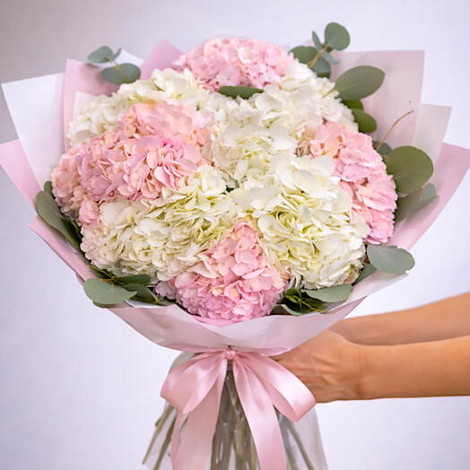 Ramo de hortensias blancas y rosas