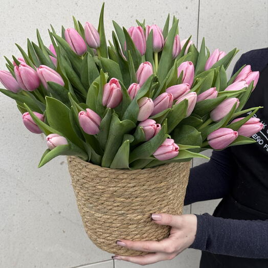 Tulipanes de color rosa dulce en un cubo