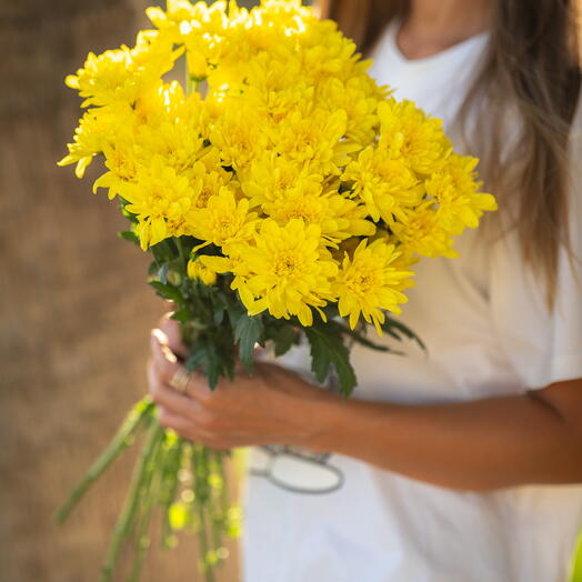 Ramo 10 margaritas amarillas