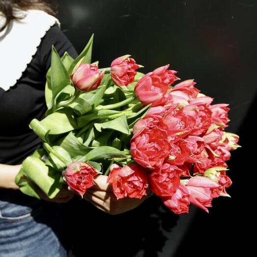 Ramo de 21 Tulipanes Rojo