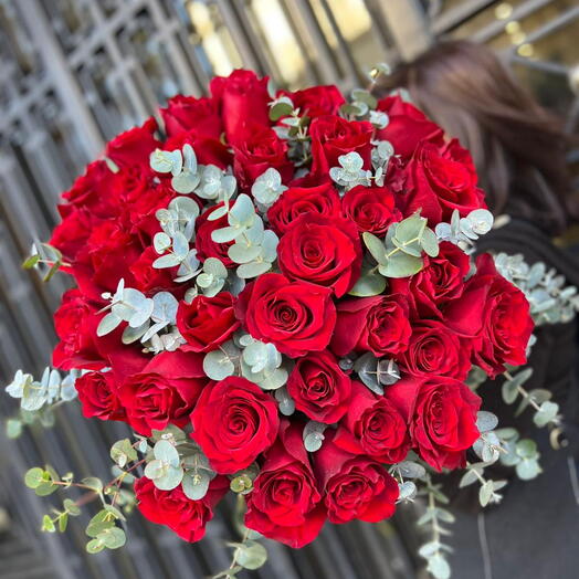 Rosas Rojas Pacion