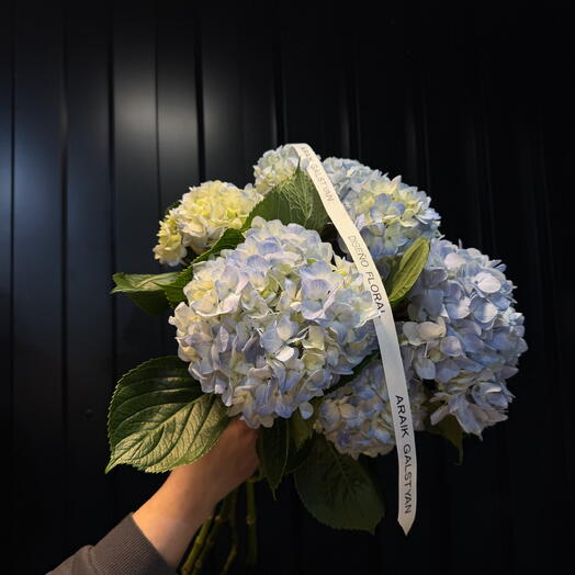 Ramo De Hortensias Celeste 5ud