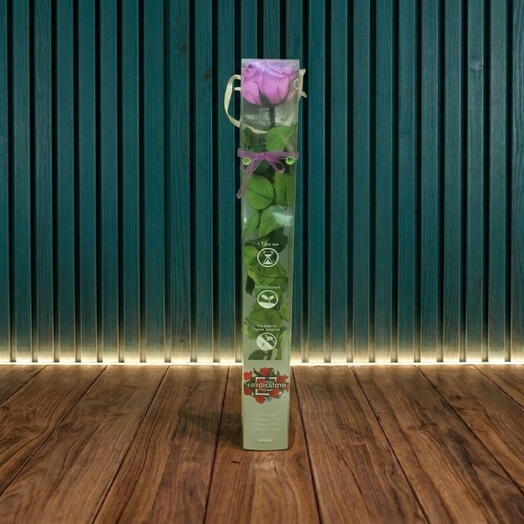 NATURAL ROSE, ETERNAL OR PRESERVED