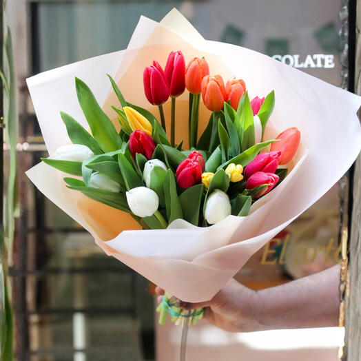 22 Tulipanes