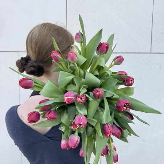 31 Tulips Elegance Pink