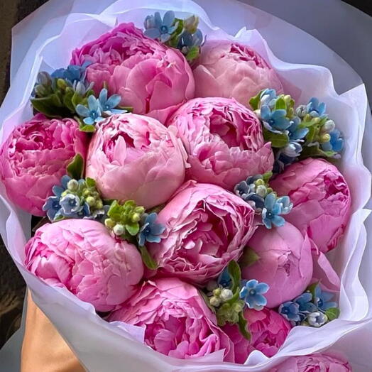 Peony Marshmallow