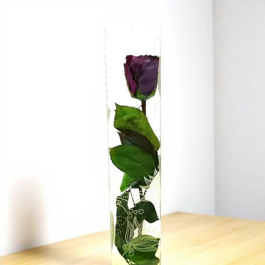 Rosa Eterna Morada Larga – Misticismo y Elegancia de Artifresia Floristas