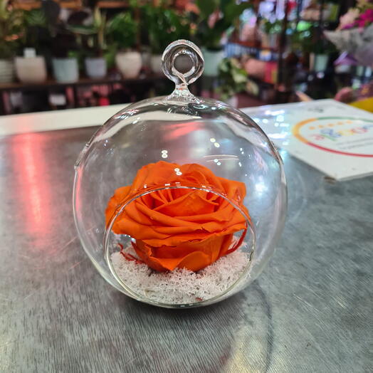Rosa Naranja Eterna en Globo de Cristal