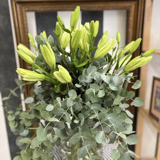 BORA BORA размер L