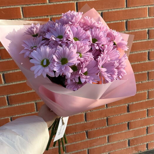 Ramo de Crisantemos rosados