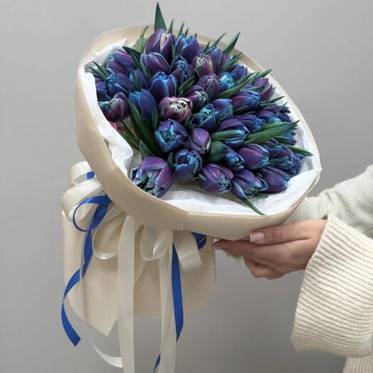 Tulipanes Cosmic 51un