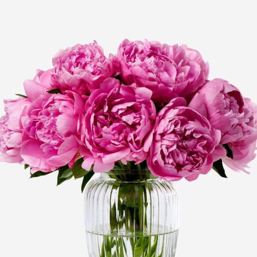 Букет из 10 розово-фуксиевых пионов