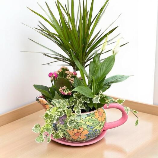 Composicion de Plantas de Ceramica Decorativa