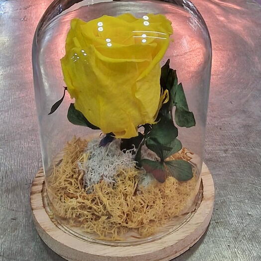 Rosa Eterna Amarilla en Campana de Cristal