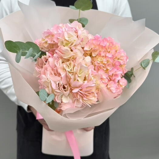3 hortensias rosas