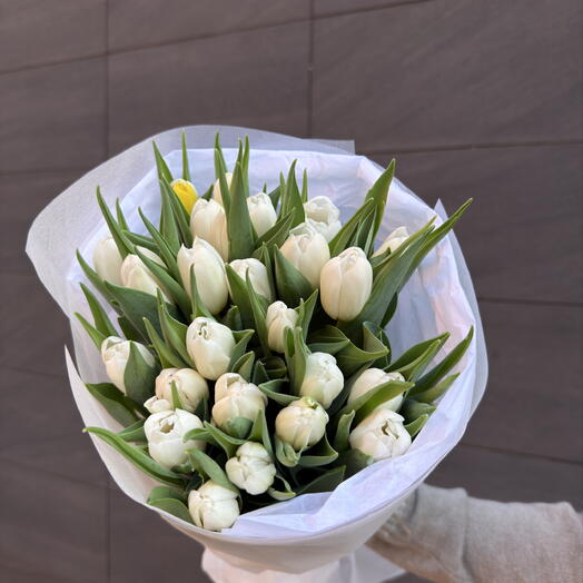 25 White Tulips