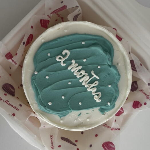 Tarta bento baby Month