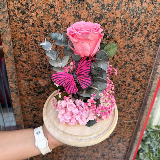 Cupula Rosa Rosada Preservada