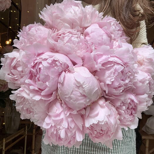 Peony Cloud
