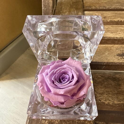 Porta anillos rosa preservada lila