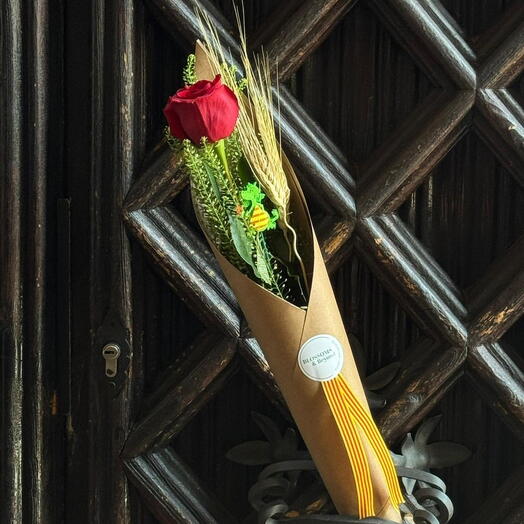 L Estàndard - Sant Jordi