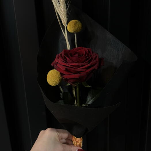 Rosa roja de Sant Jordi🌹