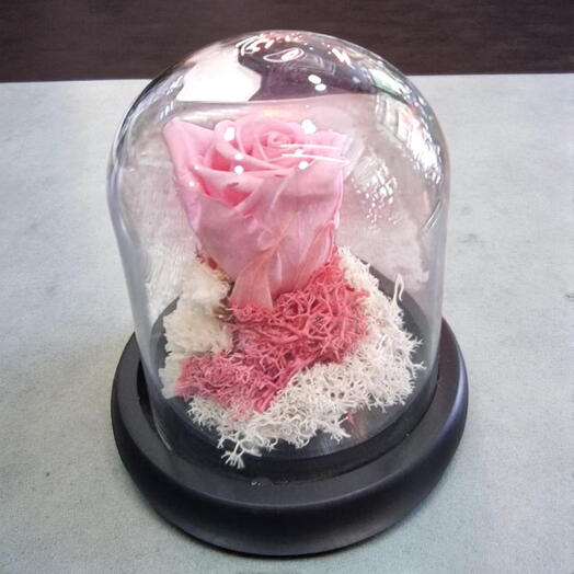 Rosa Rosa Eterna en Campana de Cristal