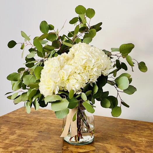 Hortensia blanca en jarron