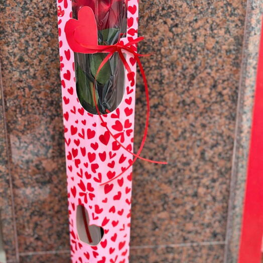 Rosa Roja preservada Individual