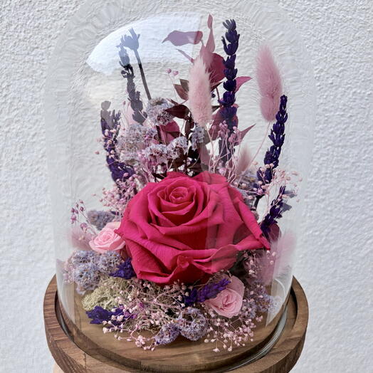 Rosa fucsia con flores de lavanda - jardín eterno de rosas